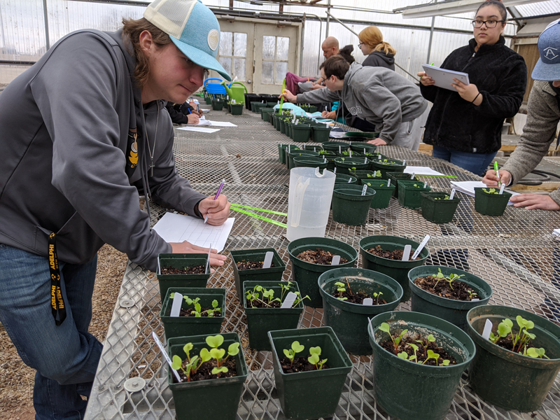 students in greenhouse